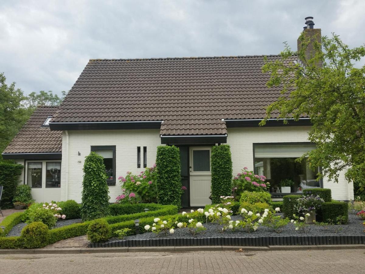 Willa Vakantiewoning J.W. Schuurmanstraat 14 Domburg Zewnętrze zdjęcie